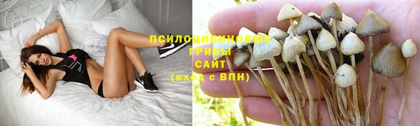 СК Осташков