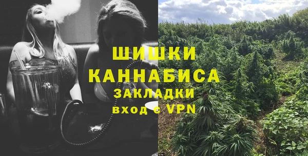прущий лед Абаза