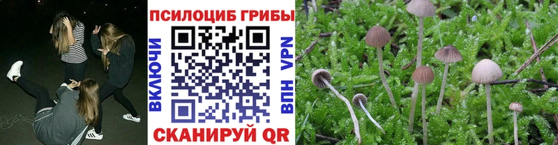 цена наркотик  Рассказово  Псилоцибиновые грибы ЛСД 